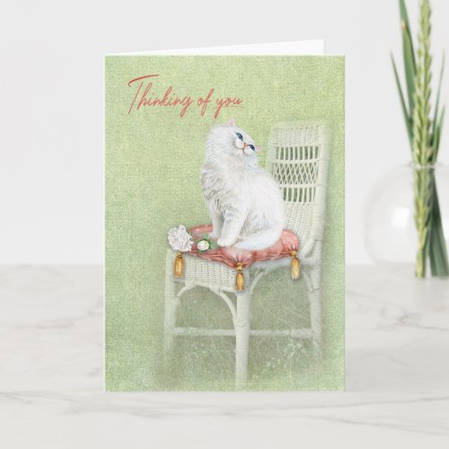 Persian Cat Thinking of You Card