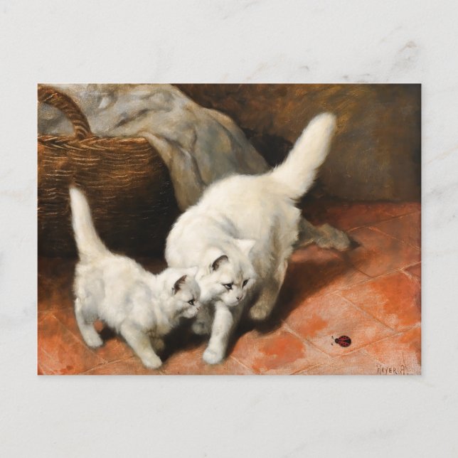 Persian Cat Vintage Art Postcard (Front)