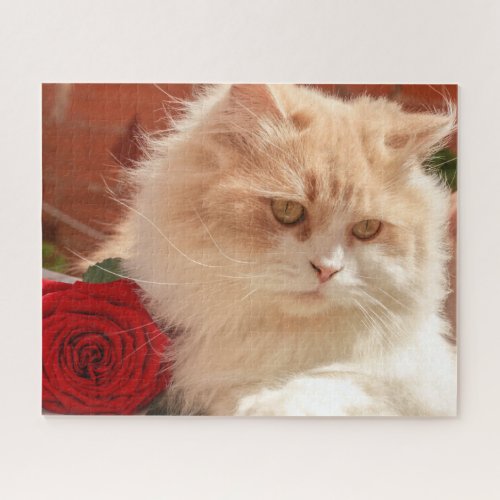 Persian Cat with a Red Rose Jigsaw Puzzle