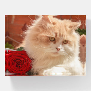 Persian Cat with a Red Rose Paperweight