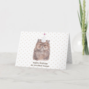 Persian Cat with birthday Hat Card