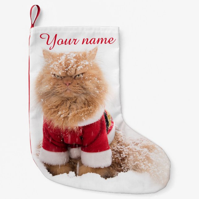 Persian cat with Christmas outfit in snow Small Christmas Stocking (Front)