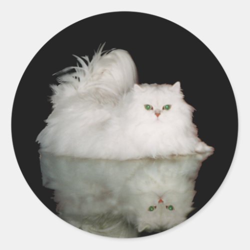 Persian Cat with Jade Green Eyes Classic Round Sticker