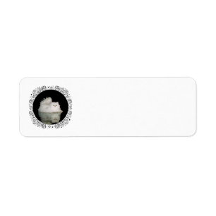 Persian Cat with Jade Green Eyes Label