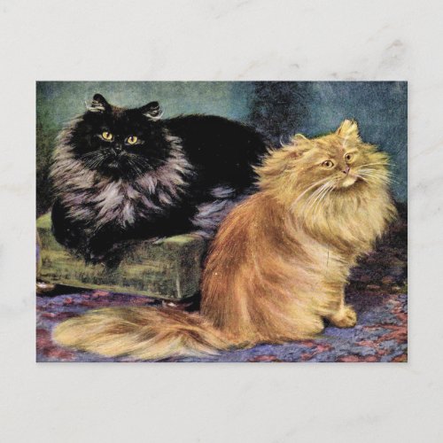 Persian Cats Smoke and Orange Postcard