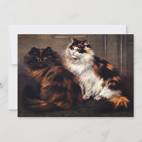 Persian Cats Tortoiseshell Caturday Invitation