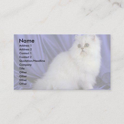 Customizable Persian, chinchilla business card