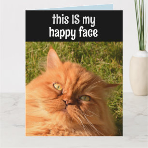 PERSIAN GINGER CAT FUNNY HAPPY FACE BIRTHDAY CARD
