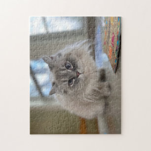 Persian Himalayan Cat Puzzle