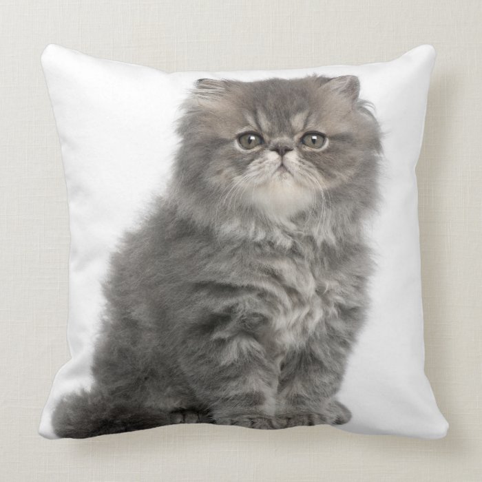 Persian Kitten (2 months old) sitting Throw Pillows