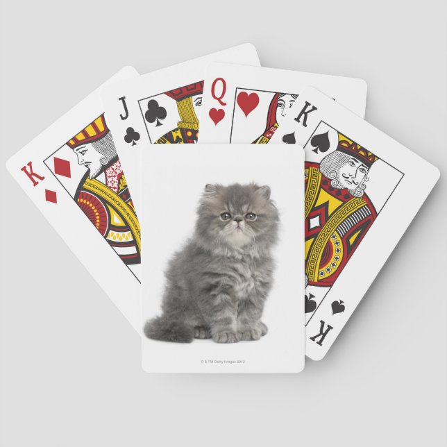 Persian Kitten (2 months old) sitting Poker Cards (Back)