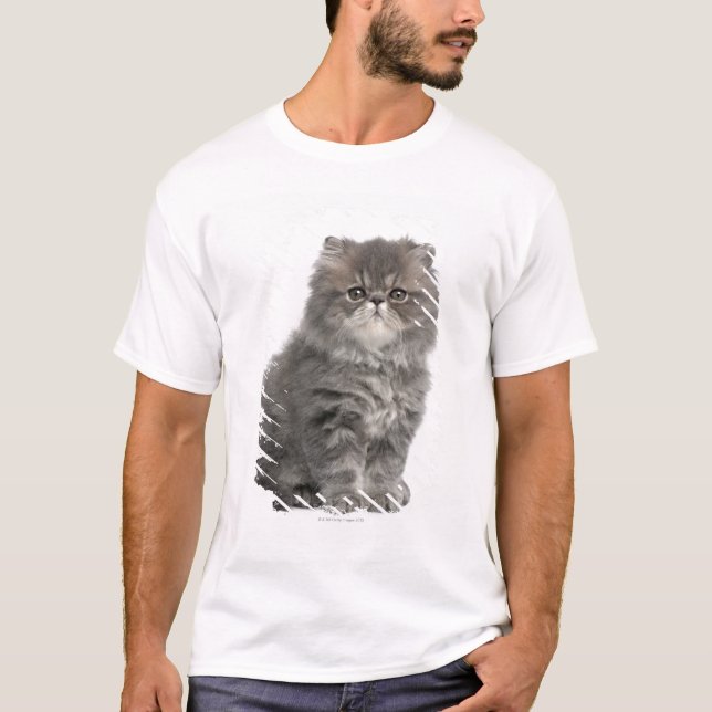 Persian Kitten (2 months old) sitting T-Shirt (Front)