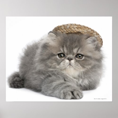 Persian Kitten 2 months old wearing a straw Poster