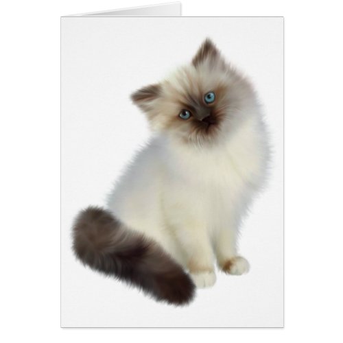 Persian Kitten Card