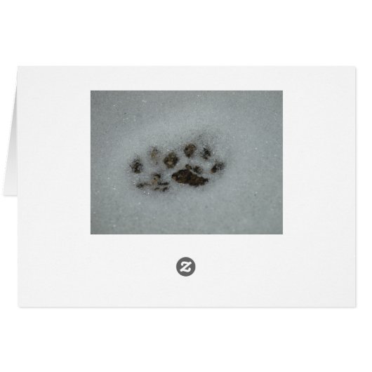 Persian Kitten Card (Back Horizontal)