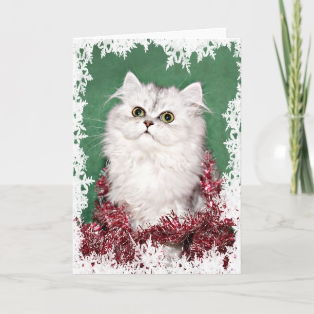Persian kitten Christmas Holiday Card (Front)