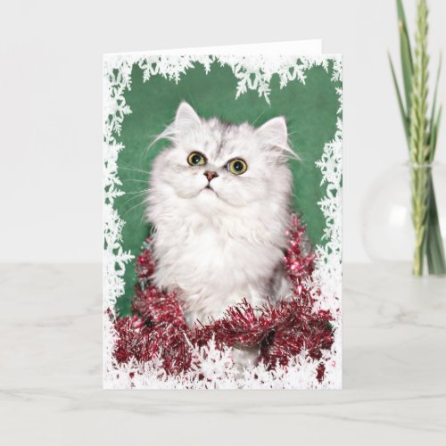 Persian kitten Christmas Holiday Card