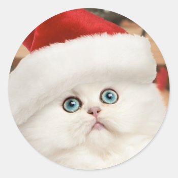 Persian Kitten Christmas Stickers by lamessegee at Zazzle