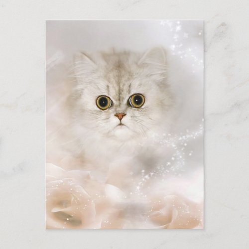 Persian kitten face postcard