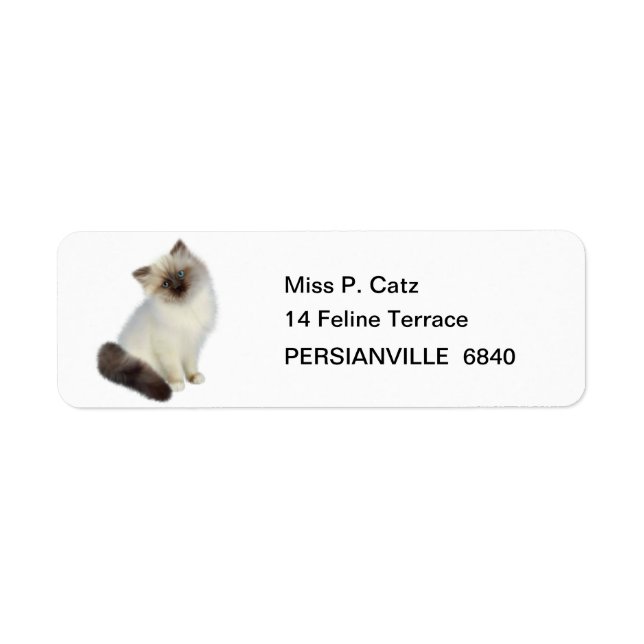 Persian Kitten Label (Front)