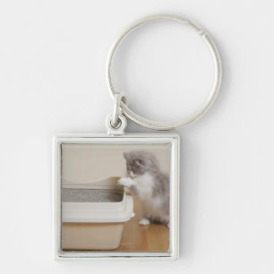 Persian Kitten looking at litter box Keychain