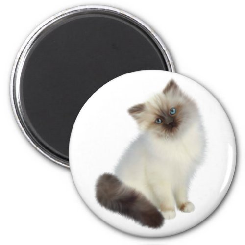 Persian Kitten Magnet
