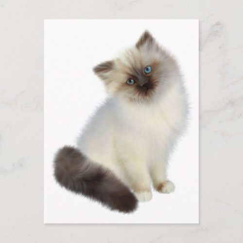 Persian Kitten Postcard