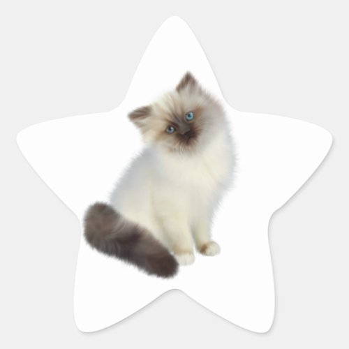 Persian Kitten Star Sticker