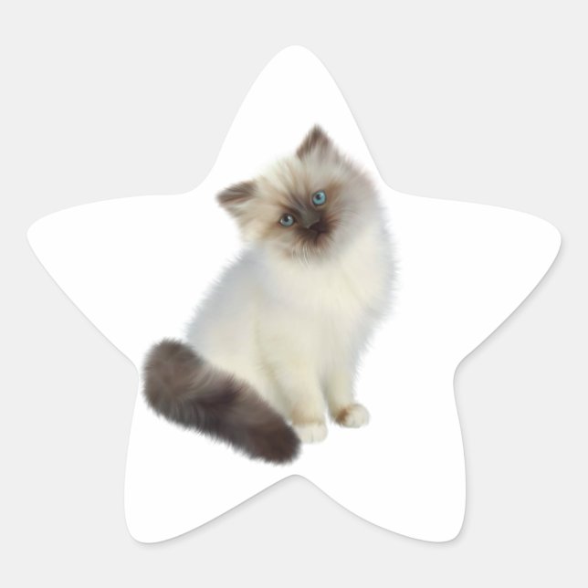 Persian Kitten Star Sticker (Front)