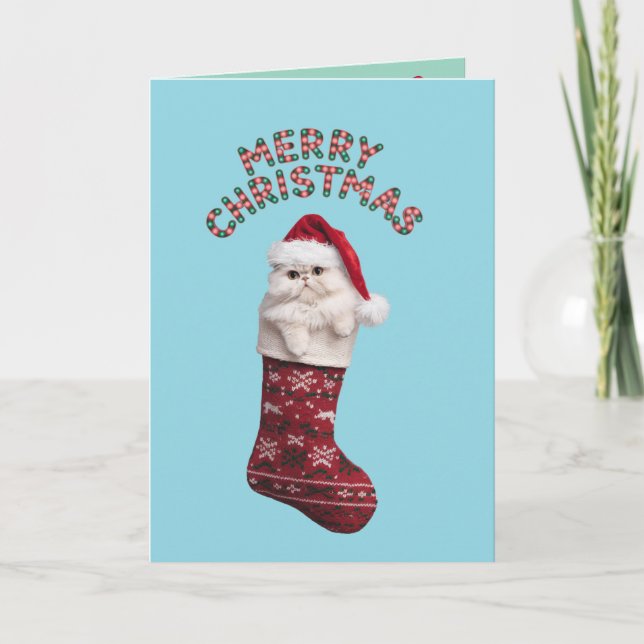 Persian Kitty Christmas Stocking Card (Front)