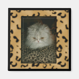 Persian Kitty Magnet
