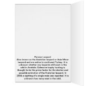 Persian Leopard (Inside (Left))