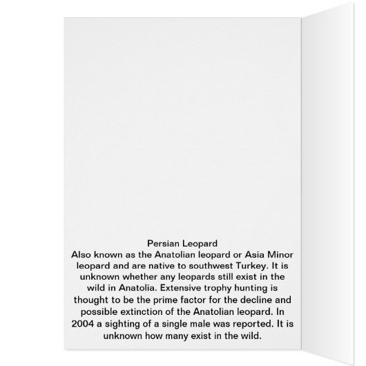 Persian Leopard (Inside (Left))