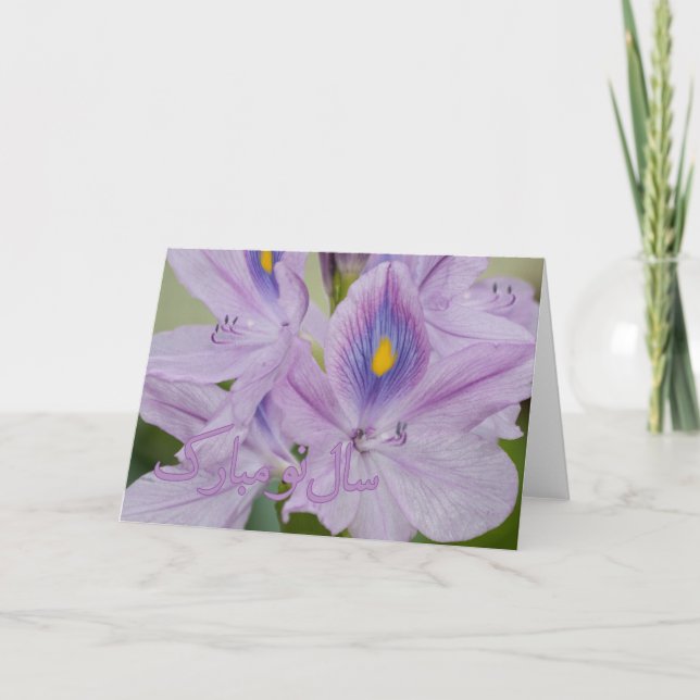 Persian New Year Nowruz Water Hyacinth Holiday Card (Front)