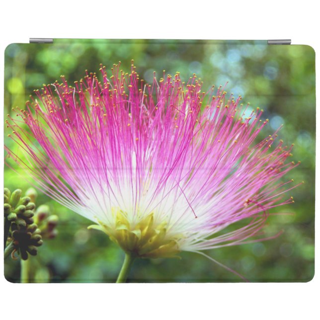 Persian Silk Tree Flower iPad Cover (Horizontal)