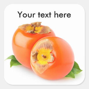 Persimmon fruits square sticker