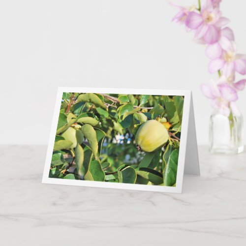Persimmon Tree Portrait Card