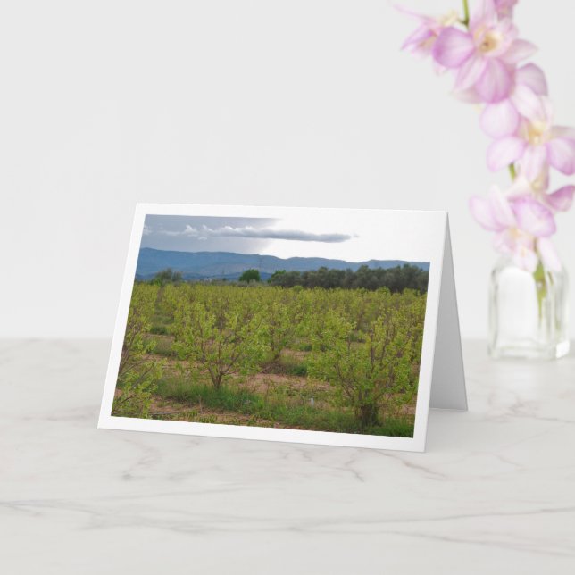 Persimmon Trees and Mountain Landscape Card (Orchid)