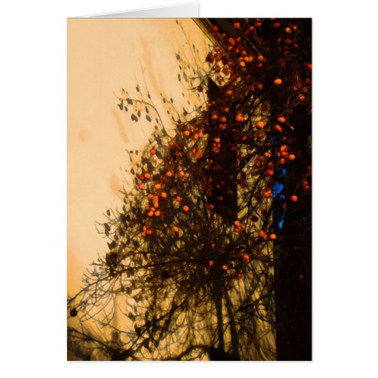 Persimmons Cards (Front)