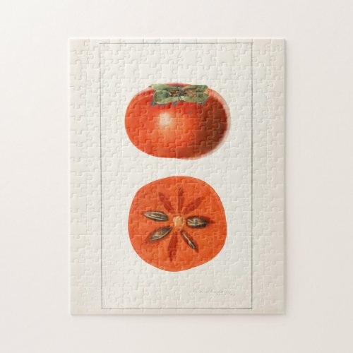 Persimmons Fruit Watercolor Painting Jigsaw Puzzle
