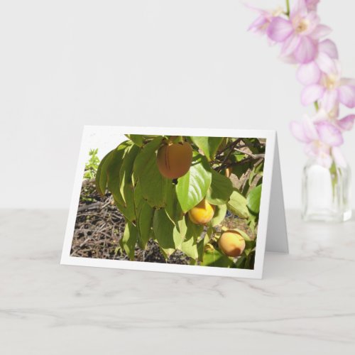 Persimmons in Tree Portrait Card