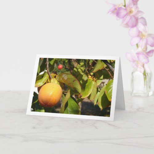 Persimmons in Tree Portrait Card