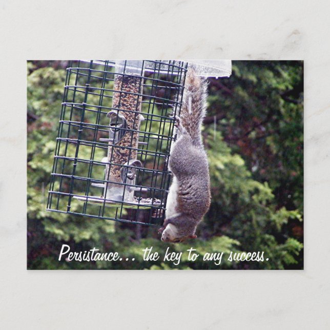 Persistance Postcard (Front)