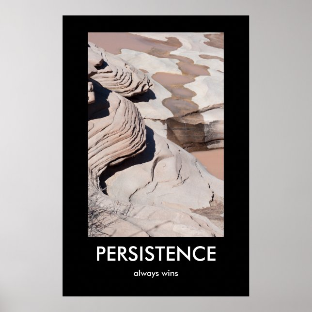 PERSISTENCE, always wins Demotivational Poster (Front)