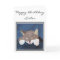Personailsed Birthday Card - Sleeping Kitten