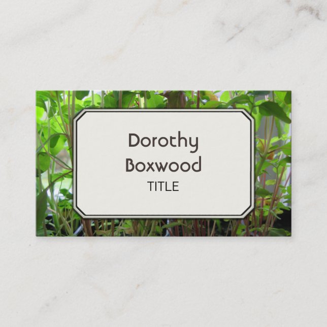 Personal Botanical Plants Seedlings Customizable Business Card (Front)