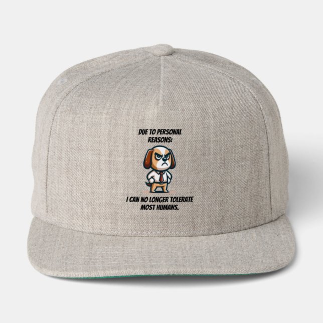 Personal Reasons Can't Tolerate Snap Back Hat (Front)