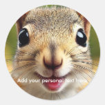 Personal squirrel sticker