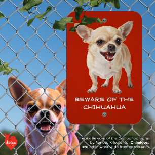 Personalised Beware Of The Chihuahua Aggro Nasty Metal Sign