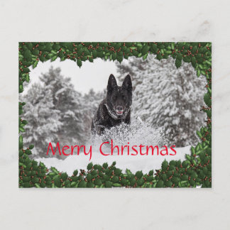 Personalised Christmas postcard with black dog